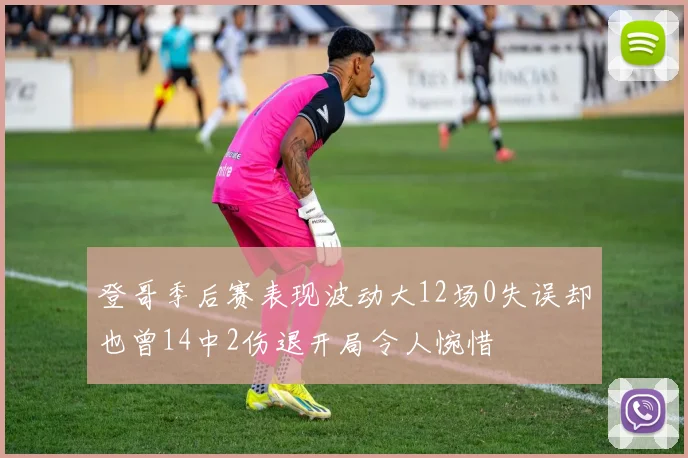 登哥季后赛表现波动大12场0失误却也曾14中2伤退开局令人惋惜