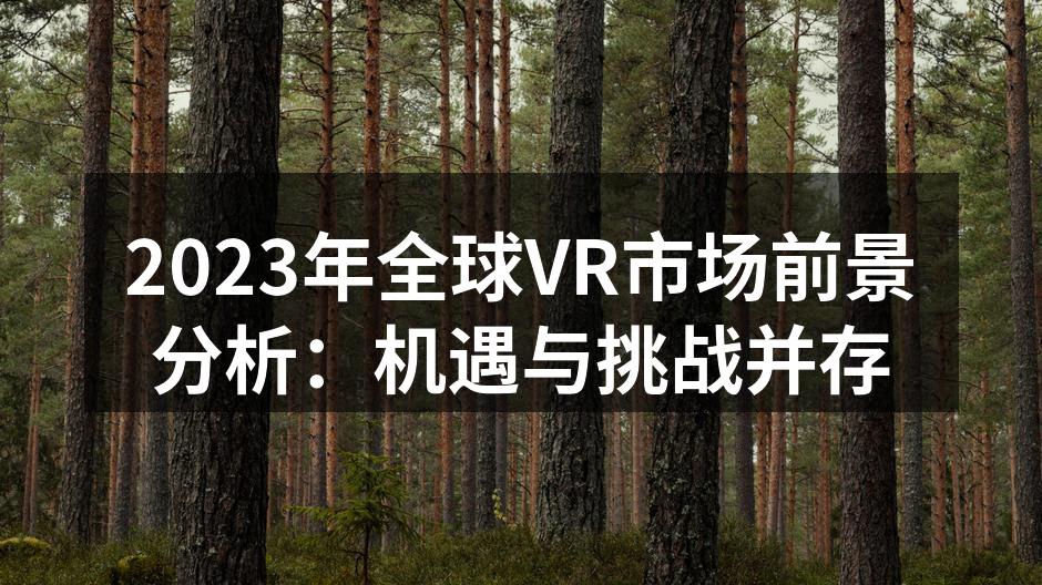 2023年全球VR市场前景分析：机遇与挑
